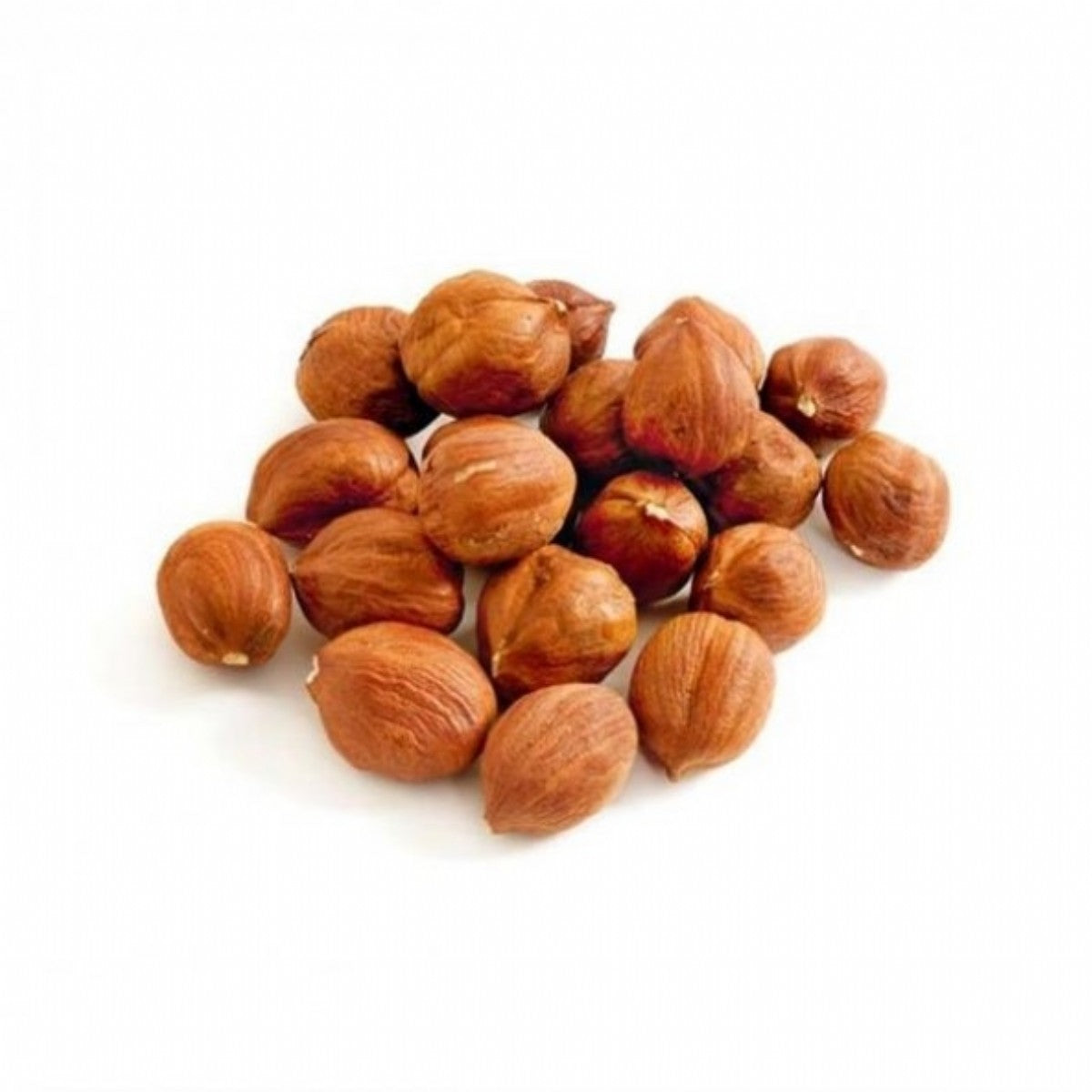 Raw Hazelnut