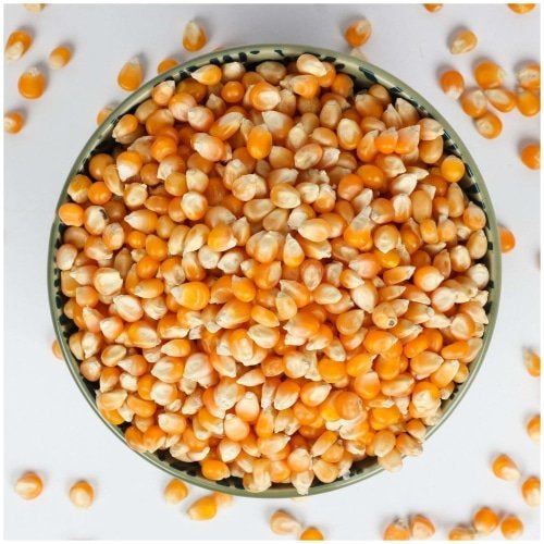 Dried Corn Kernels , Turkish, Natural