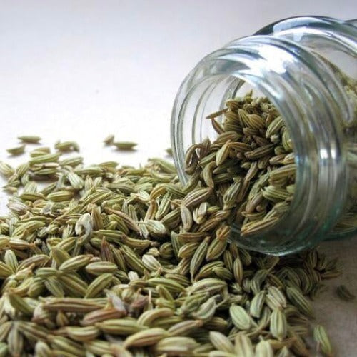 Fennel Seed