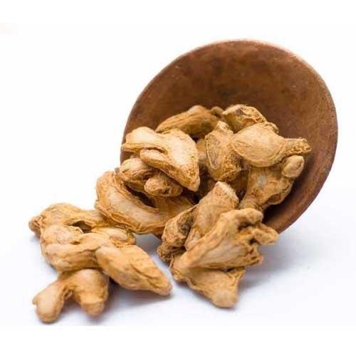 Dried Root Ginger