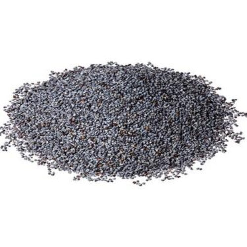 Blue Poppy Seed