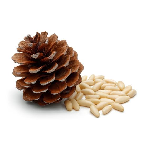 Turkish Organic Pinenuts